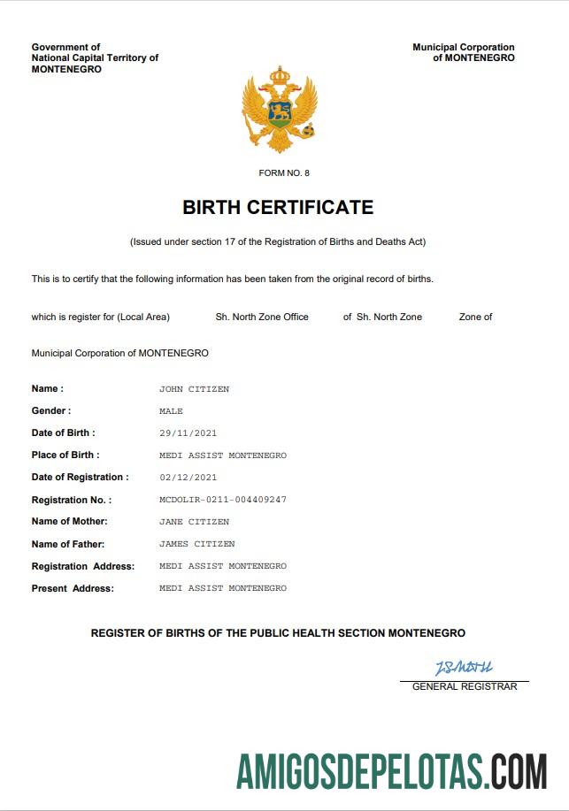 Em branco modelo Word e PDF de certidão de nascimento de Montenegro